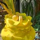 Sarı Yaprak Model Pasta