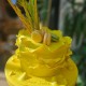 Sarı Yaprak Model Pasta